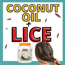 coconut oil for head lice tutorial my