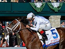 Image result for The 2015 Blue Grass Stakes from Keeneland