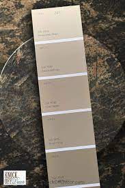Sherwin Williams Tony Taupe Review