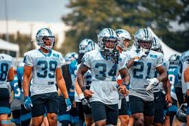 Panthers Roster Projection 2 0 The Riot Report