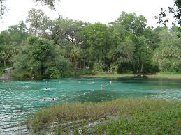 Thanks to silver springs state park, it's easy to paddle the river. Rainbow Springs State Park Wikipedia