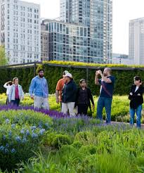 Grant Park Rose Gardens Choose Chicago