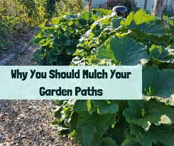 Why You Should Mulch Your Garden Paths