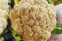 Are black spots on cauliflower mold?