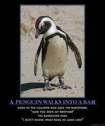 A penguin walks into a bar. Penguin Joke Justbecause Penguins Penguin Walk Jokes