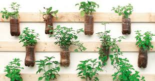 How To Plant A Vertical Garden Jet Club