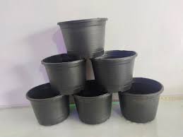 black plastic pot 6 inches in 40 rs