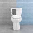 Sloan pressure assist toilet