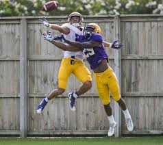 Team stats, schedule 2017, news preview. Shea Dixon On Twitter Danny Etling Tossed Td S To Russell Gage And Darrel Williams In Lsu S First Scrimmage Here Are The Stats Notes Https T Co Oiezb4hj0v Https T Co V7buew9vbe