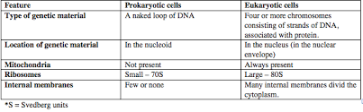 Prokaryotic cells comprise bacteria and archaea. 2 2 3 Prokaryotic And Eukaryotic Cells Bryan S Blog