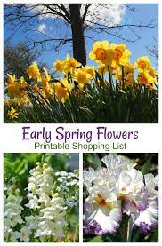How can i even begin to explain to a four year hundreds of times. some flowers only grow from corpses. Spring Blooming Plants 20 Top Picks For Early Spring Flowers Updated