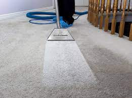 carpet cleaning port coquitlam