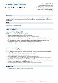 corporate travel agent resume sles