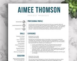 Resume Template         pages CV Template   Professional Resume     IT Project manager CV template Template net