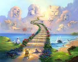 what is the rainbow bridge and why do
