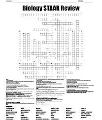 biology staar review crossword wordmint
