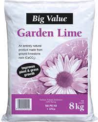 Big Value Garden Lime