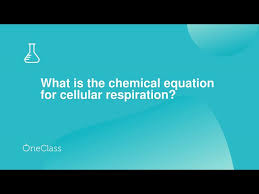 What Is The Chemical Equation For
