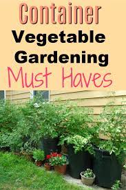 Container Vegetable Gardening For