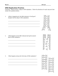 It is an efficient software which can be used for obtaining more accurate results in the entire process of research. Dna Replication Worksheet