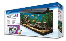 55 Gallon Fish Tanks Archives Myaquarium