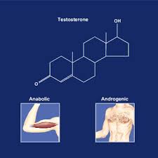the biochemistry of steroids