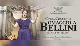 Opera Concerto: Omaggio A Bellini/Tribute to Bellini