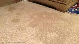 solved why do spots on my carpet keep