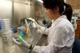 Pros And Cons Of Stem Cell Research