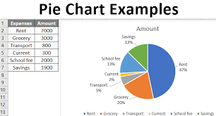 Pie Chart Examples Types Of Pie Charts In Excel With Examples