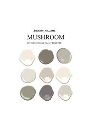 Mushroom Coordinating Colors Modern