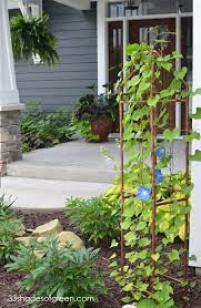 Diy Trellis Ideas For Your Garden