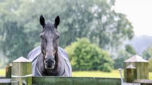 how to waterproof horse rugs h h s