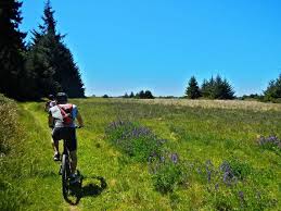 bike rides in humboldt county