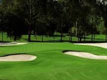 Image result for what are the stripes of grass on golf course called
