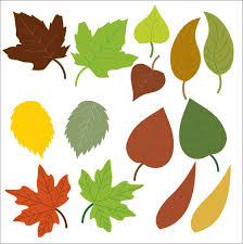 You can explore this leaf clip art category and download the clipart image for your classroom or design projects. Leaves Clipart Free Stock Photo Public Domain Pictures