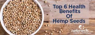 5 amazing benefits of hemp seeds