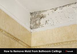 mold on bathroom ceiling wipe out with