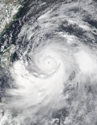 اعصار شاهين ويكيبيديا