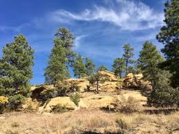 Maybe you would like to learn more about one of these? Jemez Springs Vacation Rentals Homes New Mexico United States Airbnb