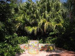 Florida Botanical Gardens Florida Hikes