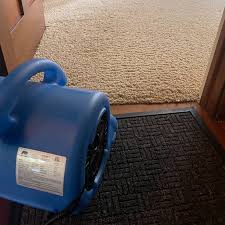 gold star carpet cleaning