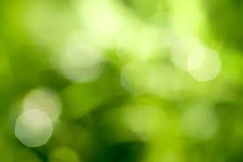 green nature background images