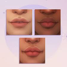 lip kit presets shape overlays