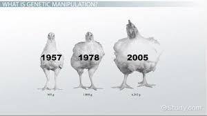 Genetic Manipulation Definition Pros Cons Video