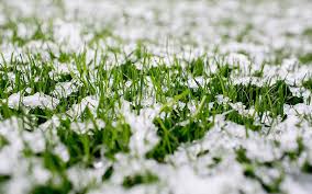 Caring For Your Resting Lawn In Winter