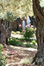where was the garden of gethsemane