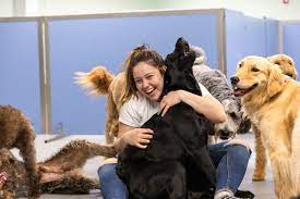 Apply to pet groomer, caretaker, dog daycare attendant and more! Doggie Daycare Jobs Must Love Dogs On The Ball