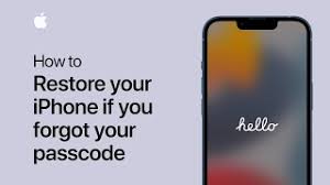 your pcode apple support