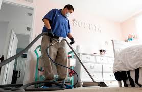the best carpet cleaning services in